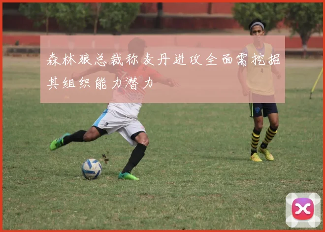 森林狼总裁称麦丹进攻全面需挖掘其组织能力潜力