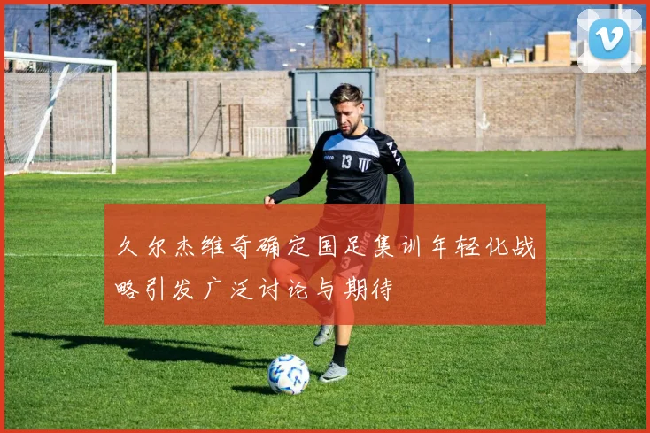 久尔杰维奇确定国足集训年轻化战略引发广泛讨论与期待